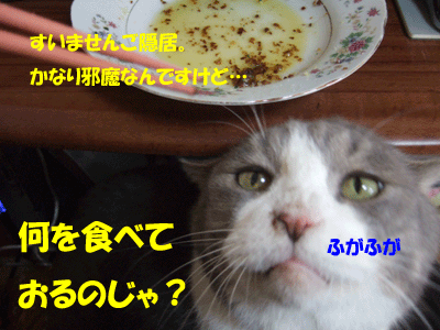f0008935_12393261.gif
