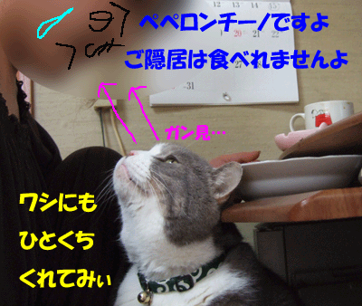 f0008935_12394941.gif