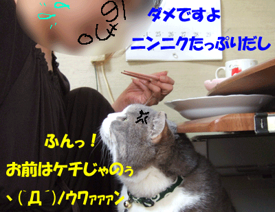 f0008935_1240536.gif