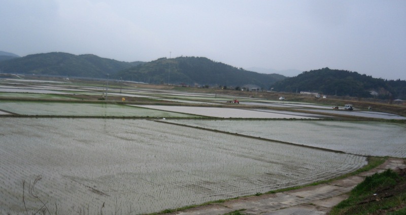 f0042737_13495290.jpg