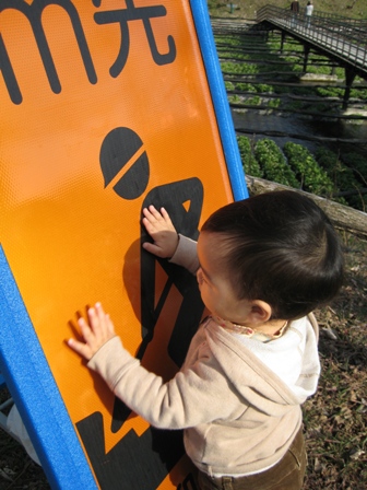 f0131939_13172959.jpg