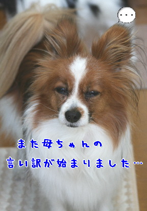 d0013149_1216696.jpg