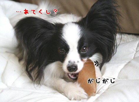 d0013149_12241065.jpg