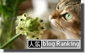 人気blogランキング