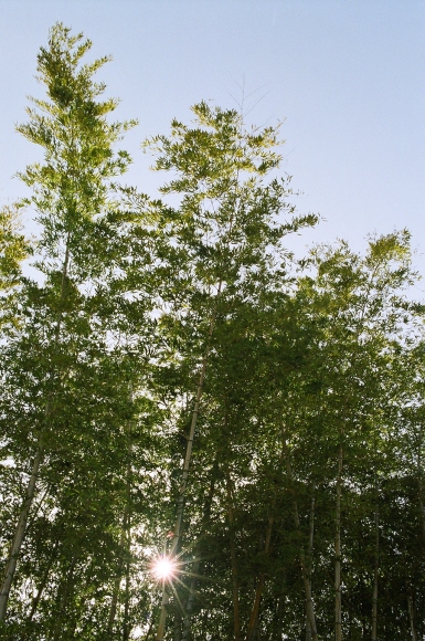 b0112661_1250313.jpg
