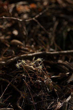 e0054067_030780.jpg