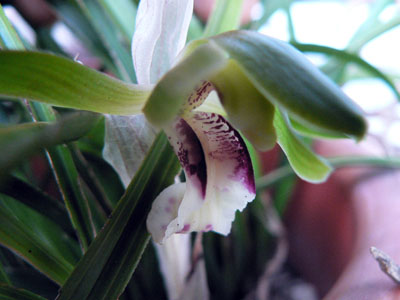 f0086169_22153869.jpg