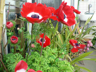 f0086169_22165278.jpg