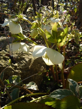 c0135480_1764441.jpg