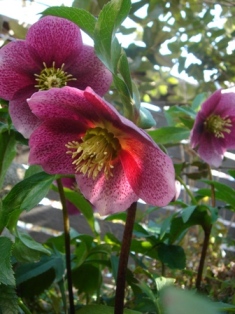 c0135480_1863794.jpg