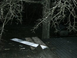 e0034987_08357.jpg