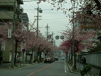 f0149988_2365458.jpg