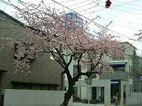 f0149988_2371812.jpg