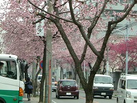 f0149988_237887.jpg