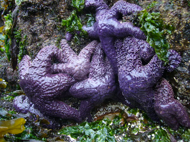 e0122193_505052.jpg