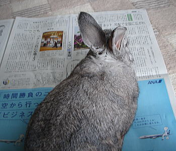 f0082396_17214746.jpg