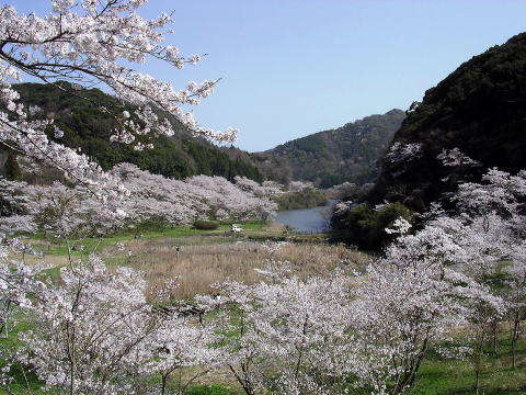 b0126098_1618828.jpg