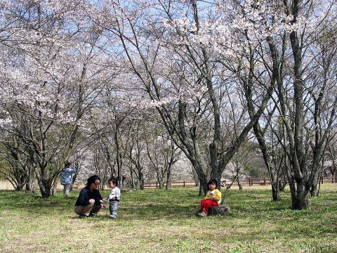 b0126098_1619470.jpg