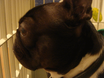 e0112098_1928249.gif
