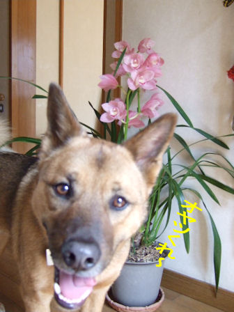 b0087400_05359100.jpg