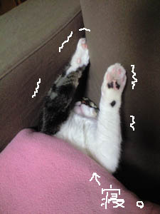 c0035001_11311442.jpg