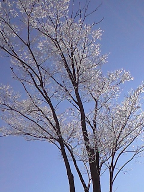 b0083902_142034.jpg