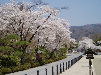 f0147602_2046472.jpg