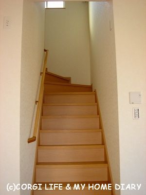 c0153410_1741378.jpg
