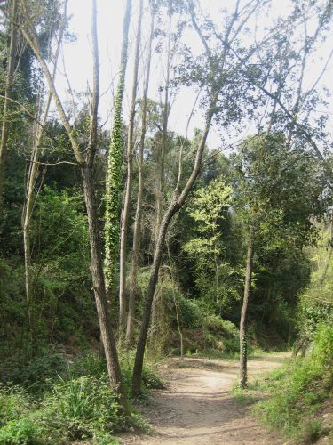 b0064411_86063.jpg