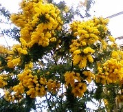 d0024220_1663255.jpg