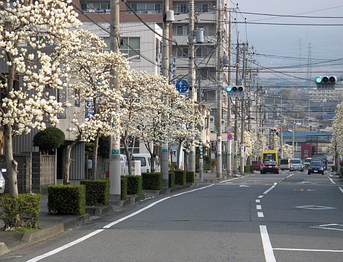 c0151731_1194368.jpg