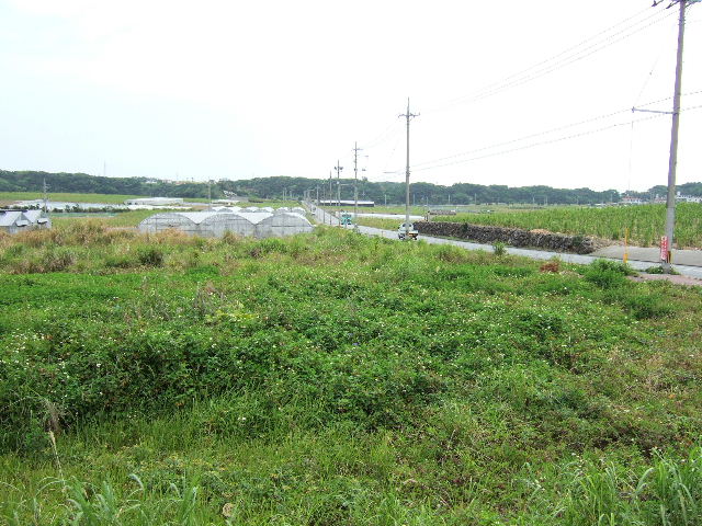 e0064133_207455.jpg