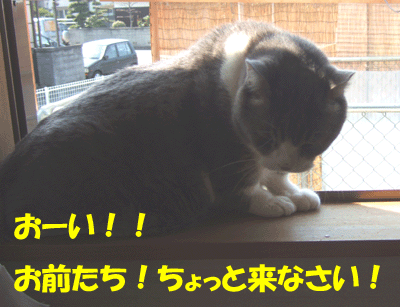 f0008935_11124966.gif