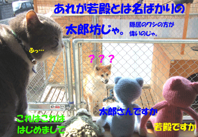 f0008935_11134980.gif
