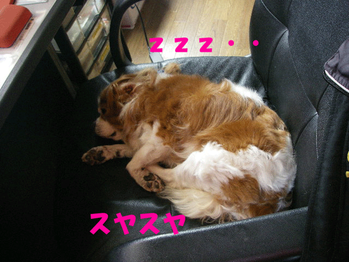 c0136838_158396.gif