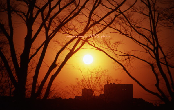 f0017238_17221833.jpg
