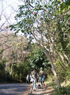 c0119142_18103153.jpg