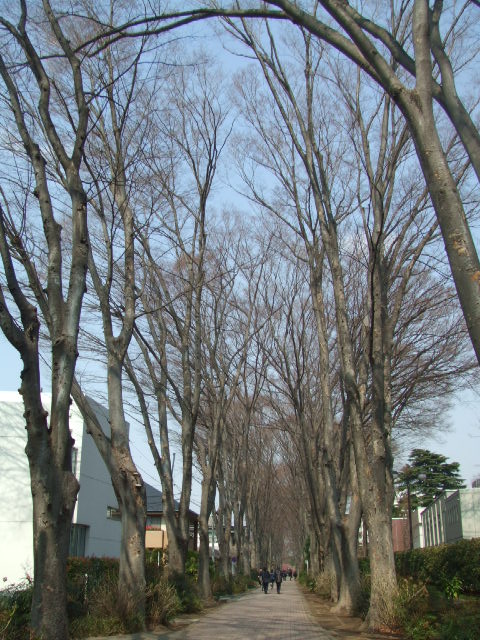 c0071545_11472310.jpg