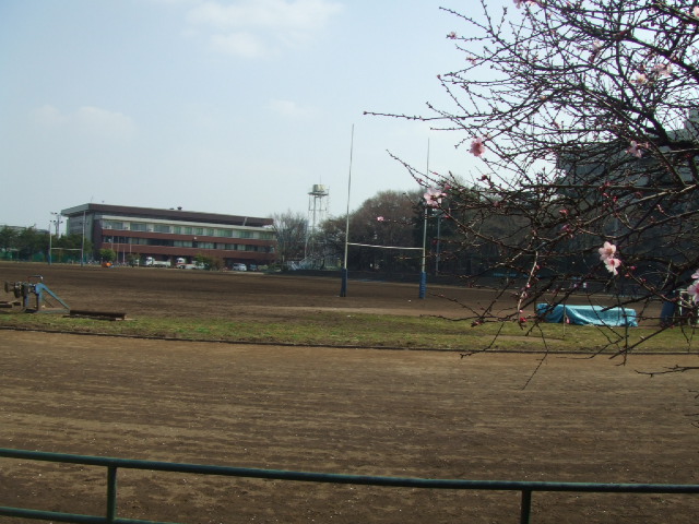 c0071545_11515718.jpg