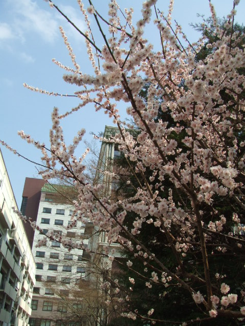 c0071545_11542867.jpg