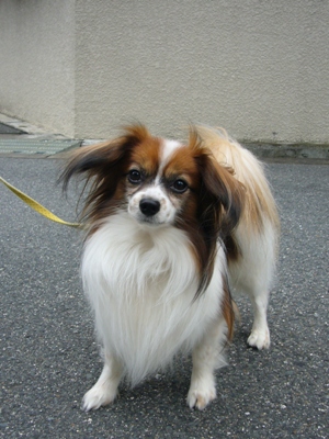 e0100046_23302245.jpg