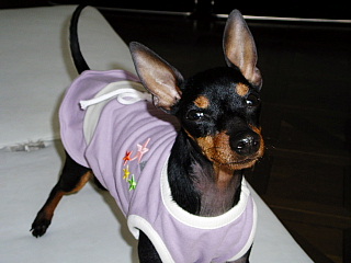 c0123149_21321100.jpg