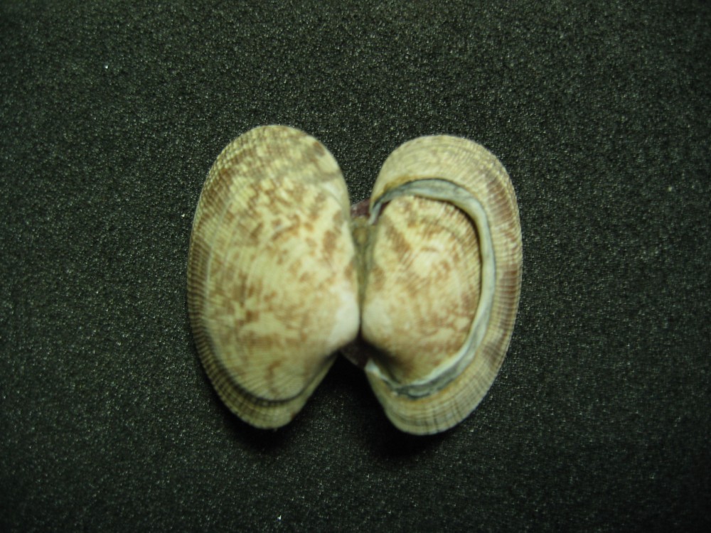 d0075649_9463281.jpg