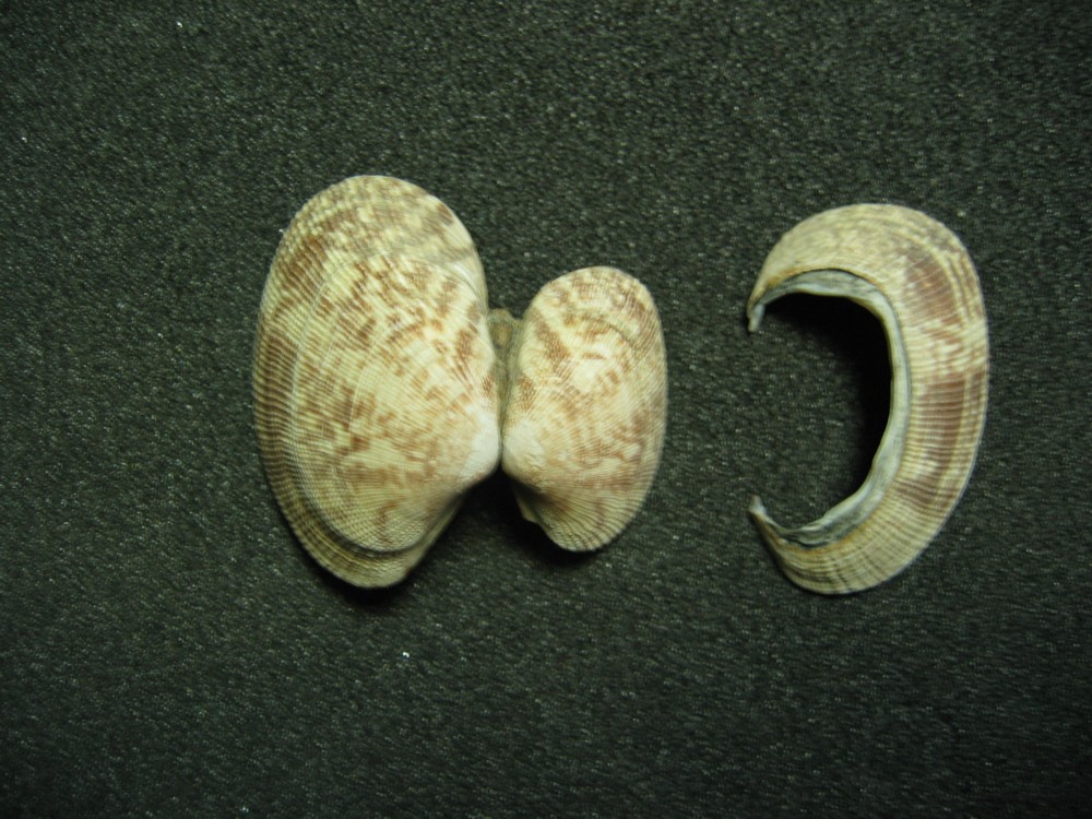 d0075649_946573.jpg