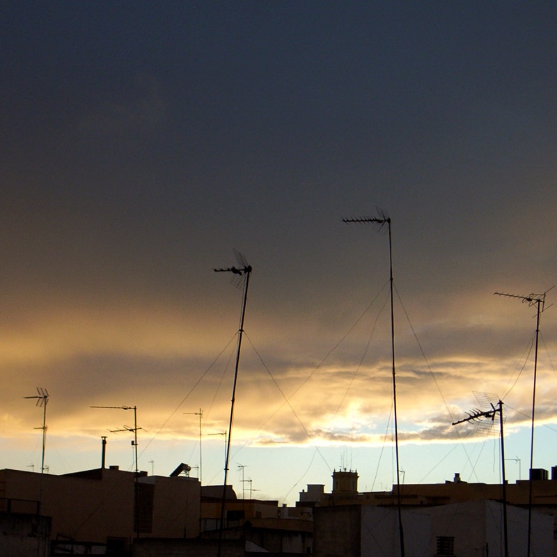 e0100152_772176.jpg