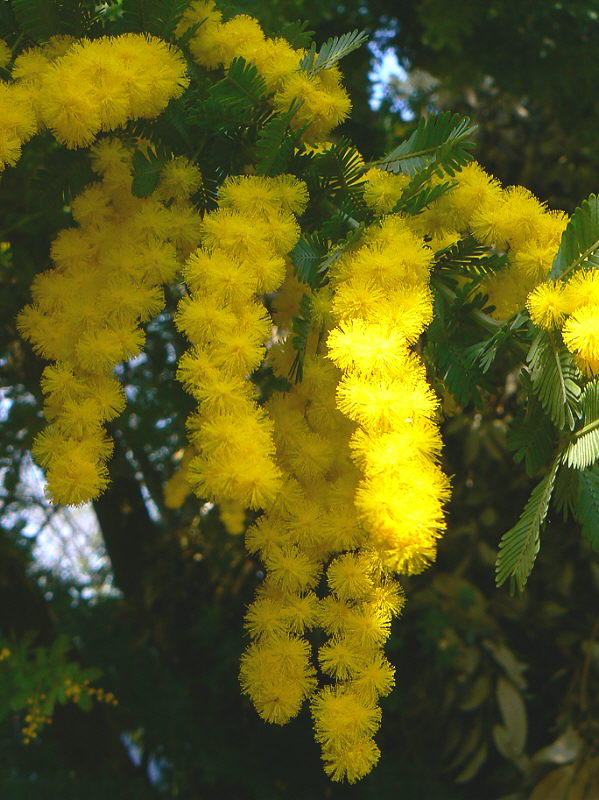 d0091754_2353963.jpg