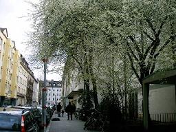 f0097363_7252261.jpg