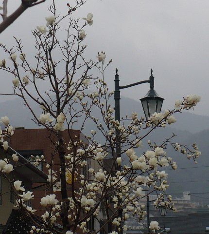 a0063364_2145398.jpg
