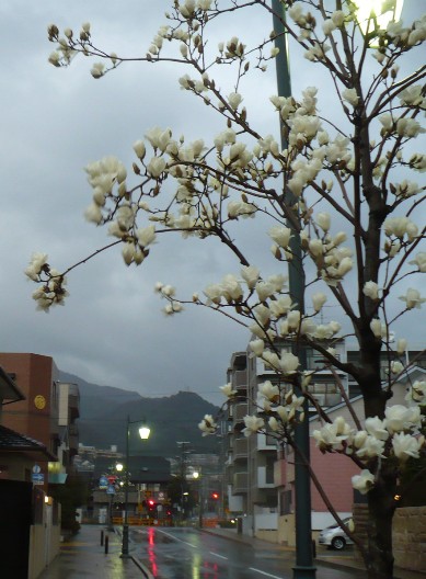 a0063364_2146869.jpg