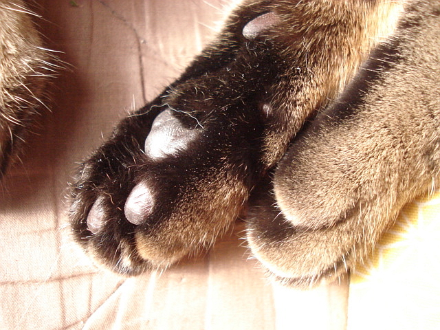 f0132565_1021957.jpg